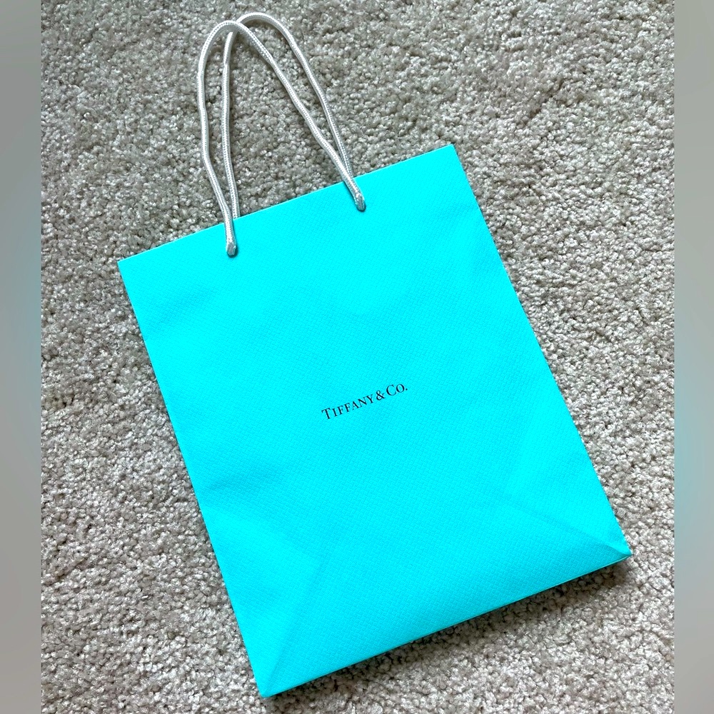 Tiffany & Co Gift Bag W/ White Ribbons